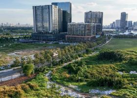 Thủ tướng yêu cầu giảm tối đa thủ tục lĩnh vực khoáng sản, đất đai