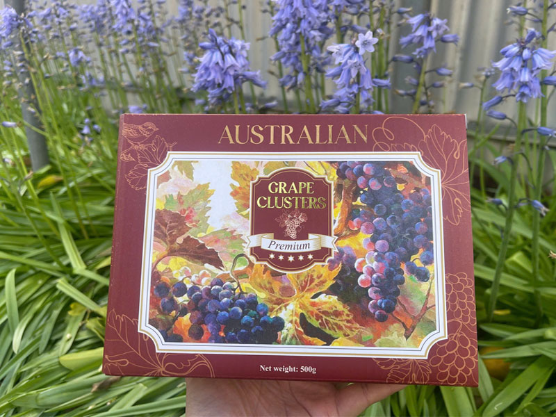 Nho khô Úc – Món ăn vặt cao cấp, bổ dưỡng